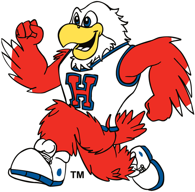 Hartford Hawks 1984-Pres Mascot Logo diy DTF decal sticker